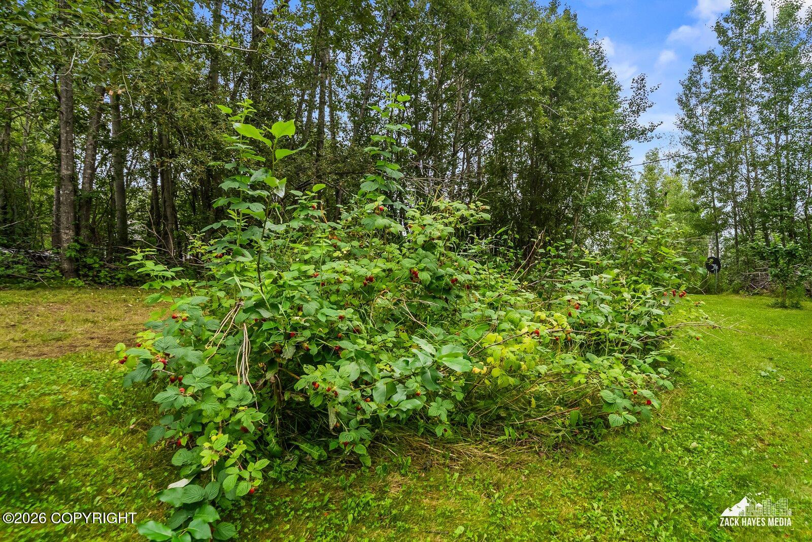 7738 W Carmel Road Property Photo 39