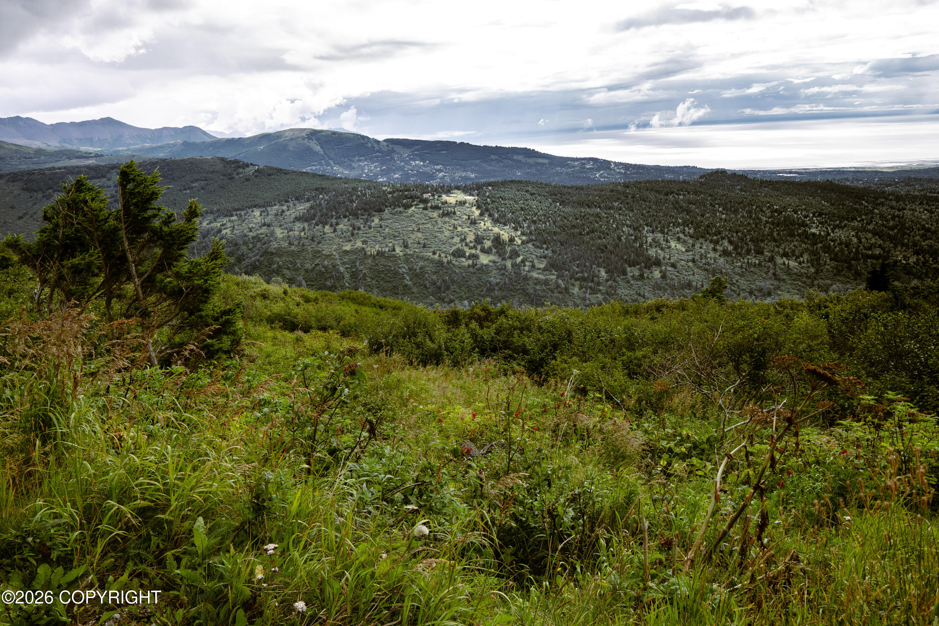 000 Sunshine Loop Property Photo 3