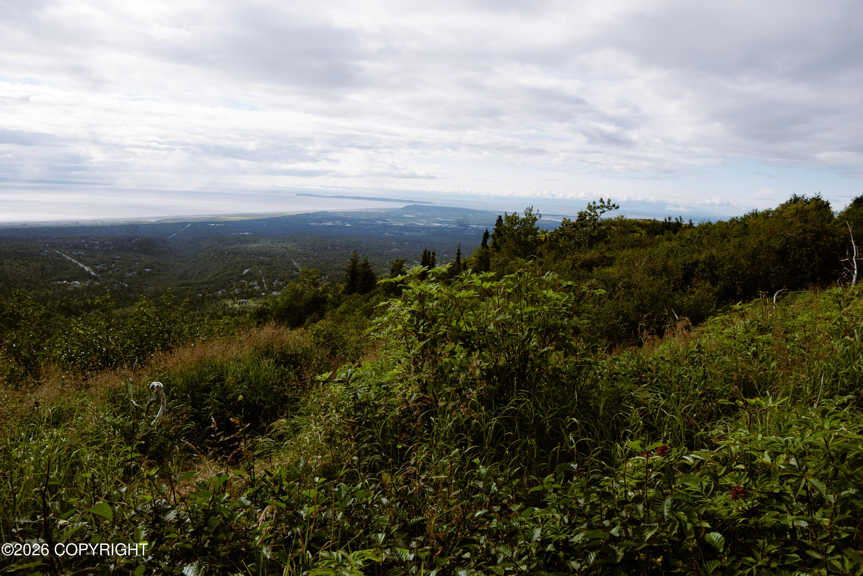 000 Sunshine Loop Property Photo 6