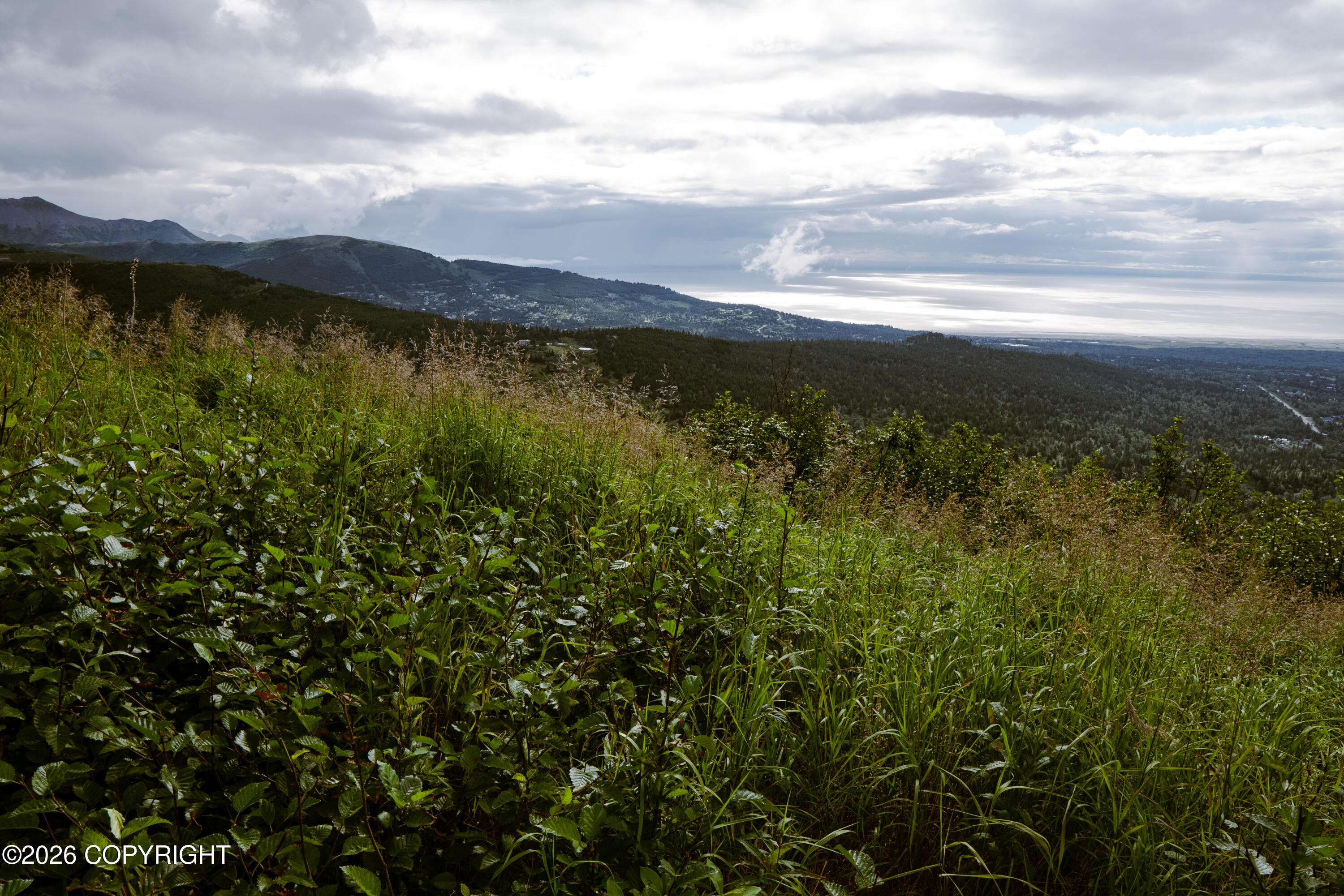 000 Sunshine Loop Property Photo 7