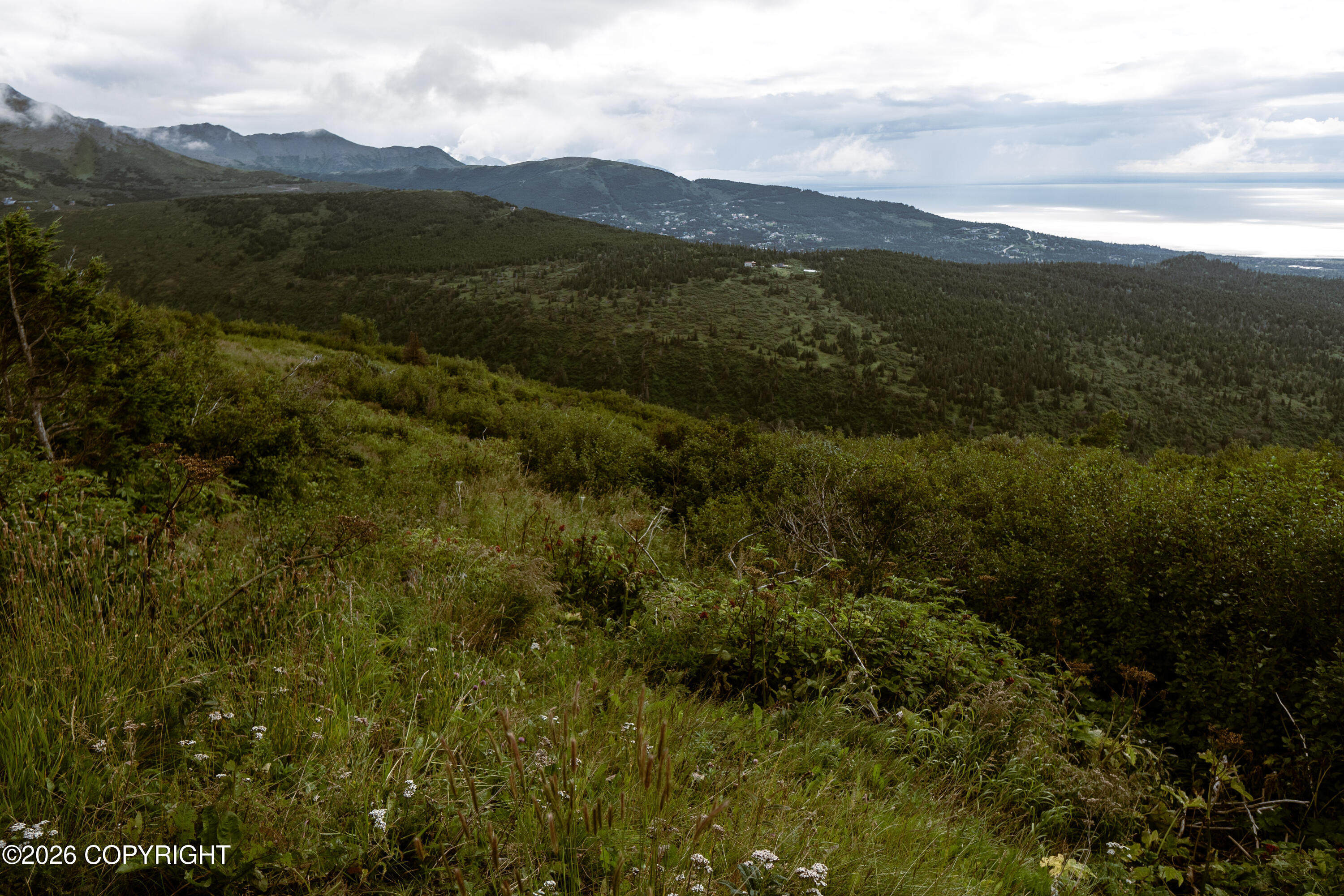 000 Sunshine Loop Property Photo 9