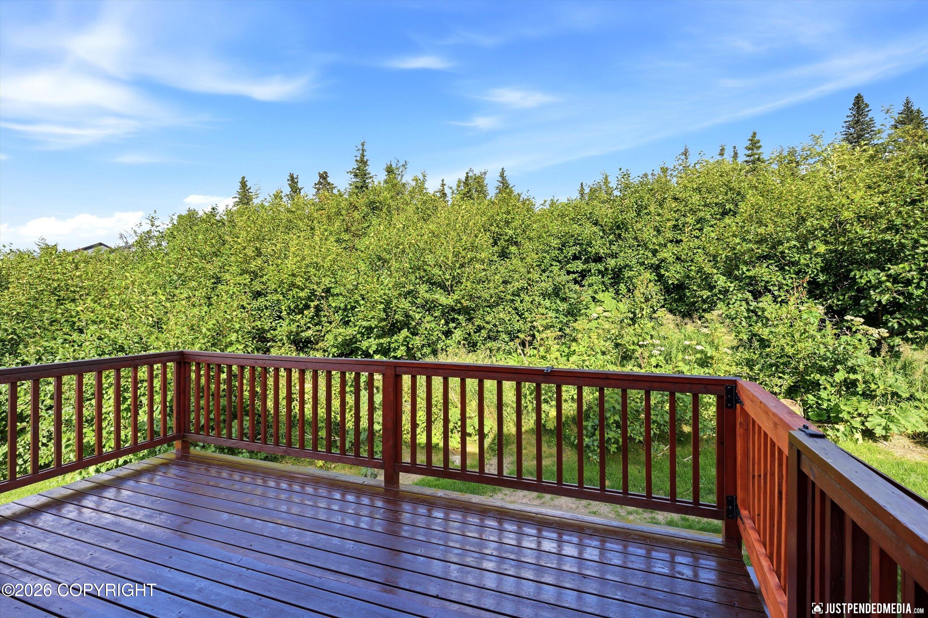 17041 Briarcliff Pointe Circle Property Photo 36