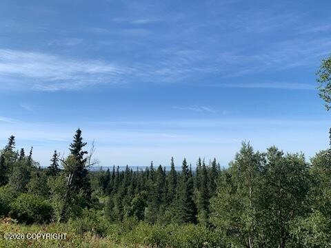 9991 Middlerock Road Property Photo 4