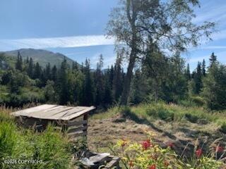 9991 Middlerock Road Property Photo 16