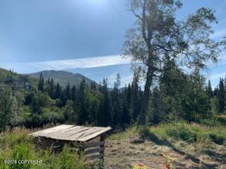 9991 Middlerock Road Property Photo 18