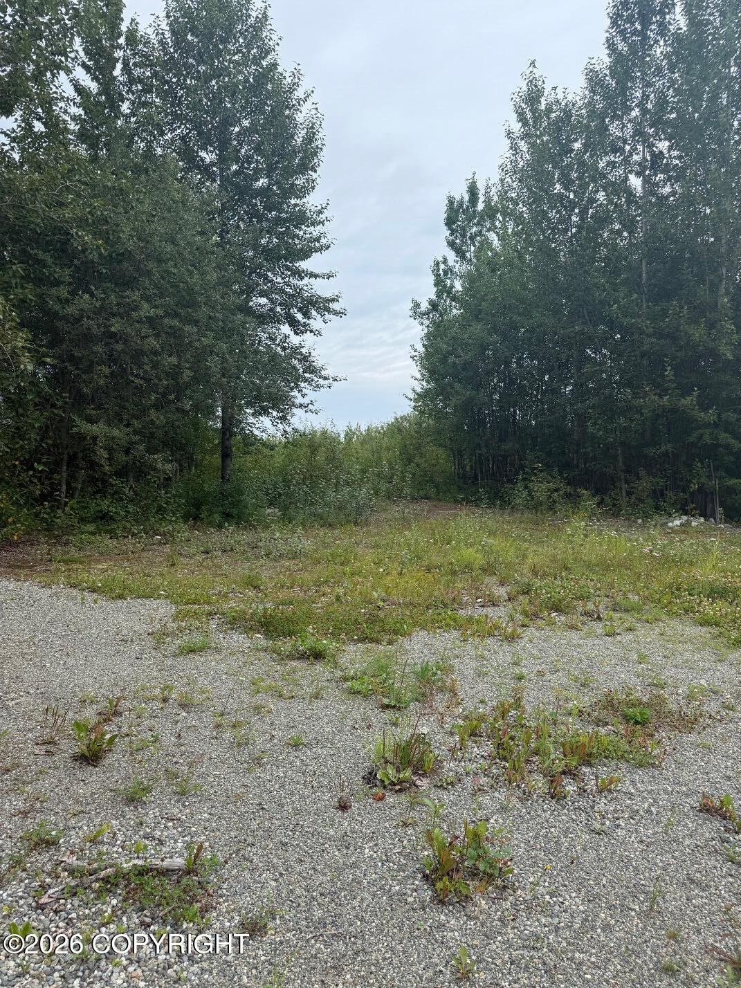 18750 N Mae Loop Property Photo 12
