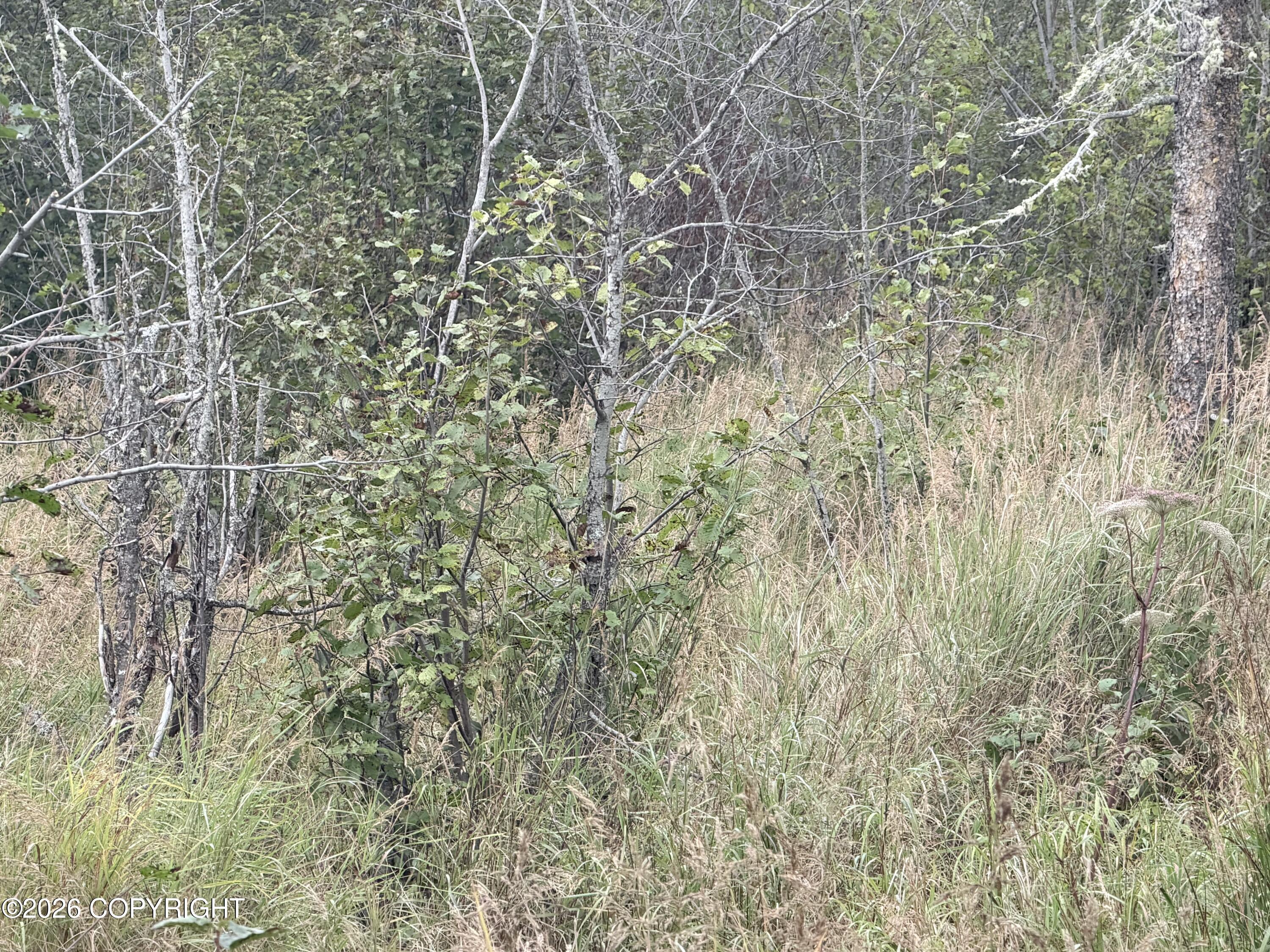 45629 Back Troll Property Photo 10