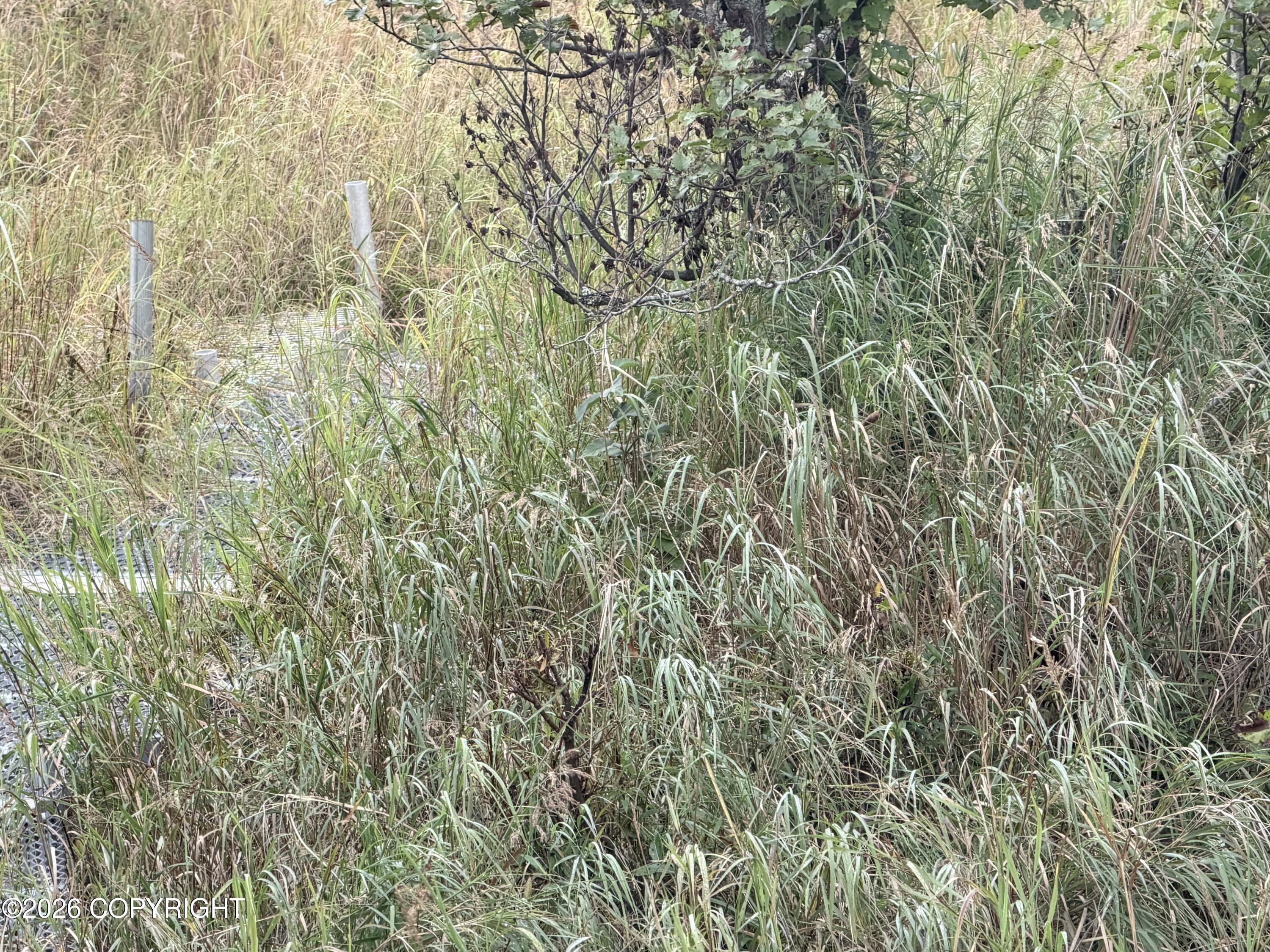 45624 Boardwalk Trail Property Photo 12