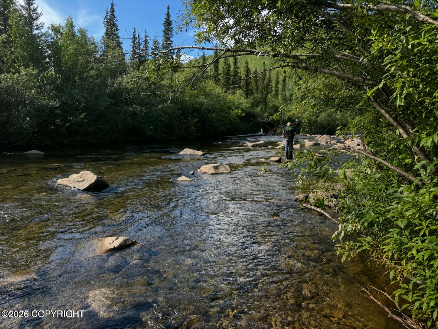 Nhn North Fork Chena Property Photo 1
