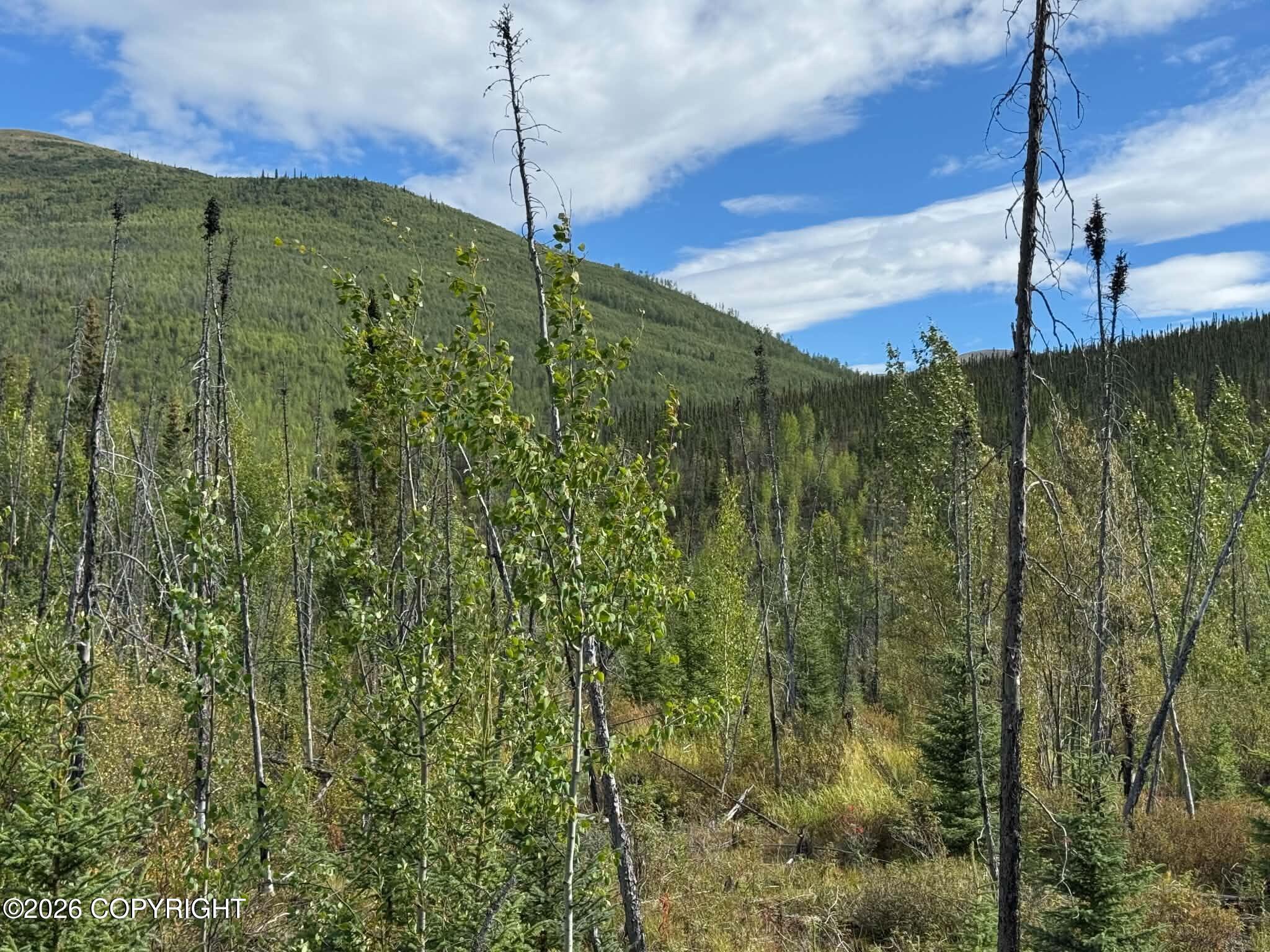 Nhn North Fork Chena Property Photo 4