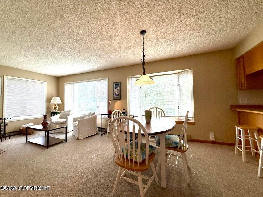543 W 12th Avenue Property Photo 49