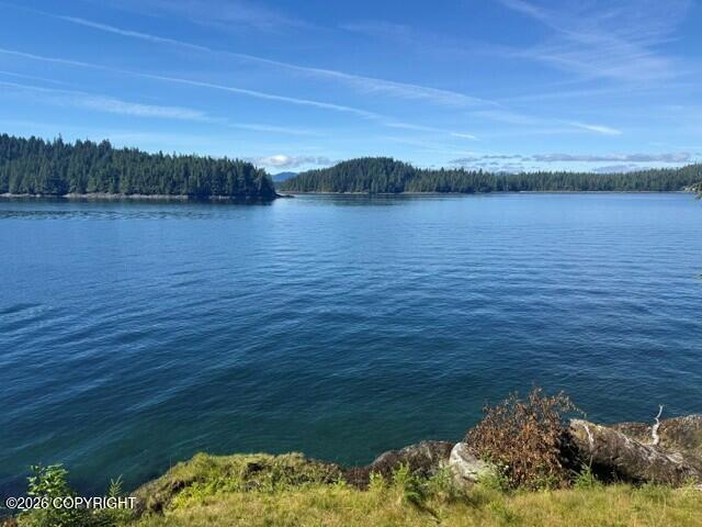 Lot 8 Clover Passage Property Photo 33