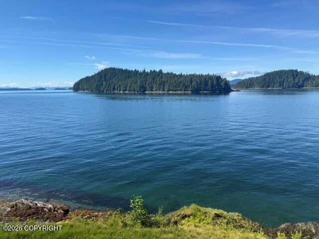 Lot 8 Clover Passage Property Photo 38