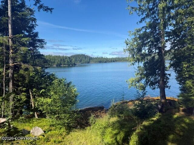 Lot 7 Clover Passage Property Photo 25
