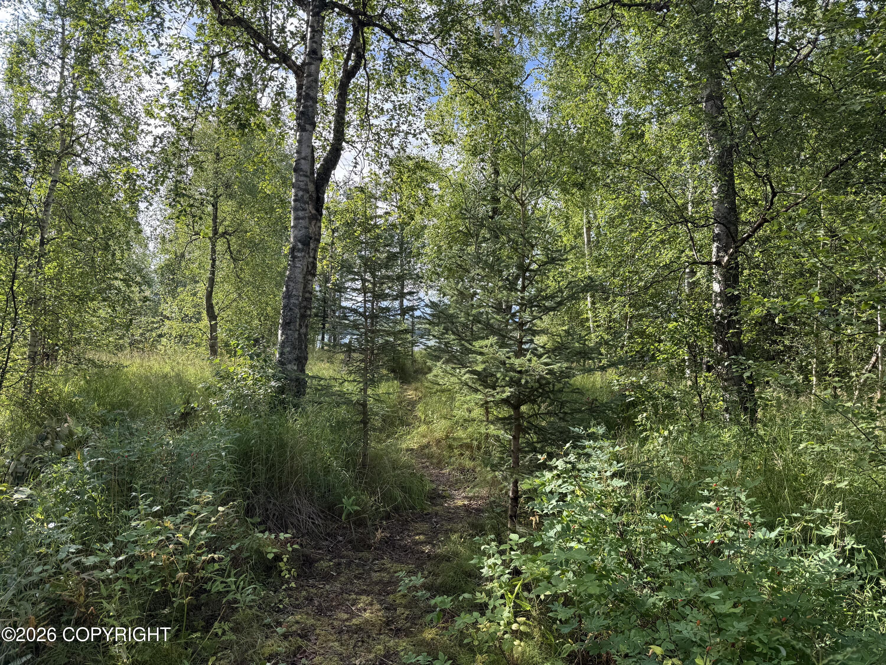 4650 E Birch Drive Property Photo 12