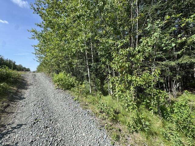 L3 B1 Funny River Road Property Photo 1