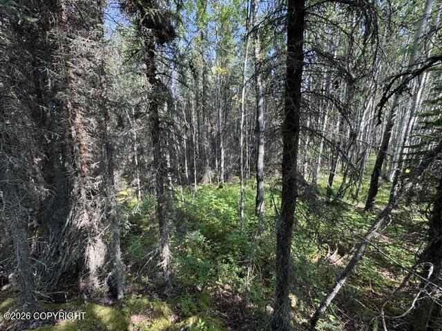 L3 B1 Funny River Road Property Photo 2