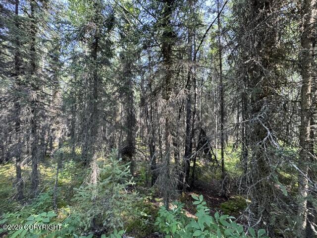 L3 B1 Funny River Road Property Photo 4