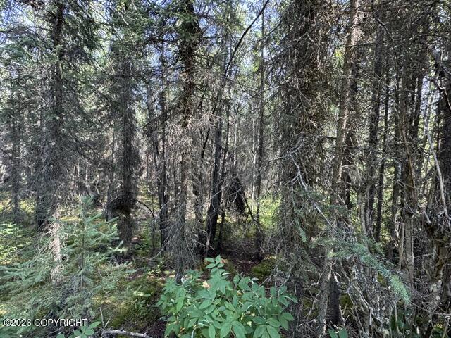L3 B1 Funny River Road Property Photo 5