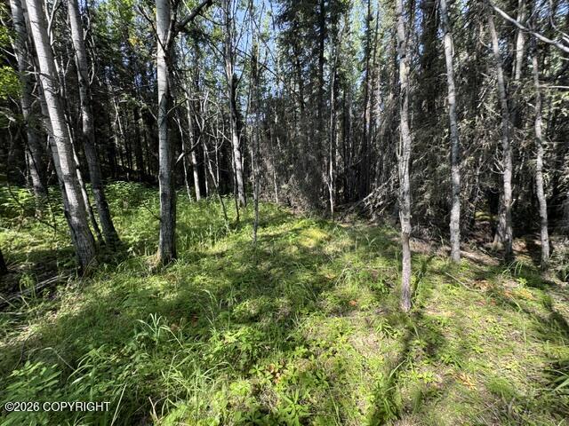 L3 B1 Funny River Road Property Photo 12