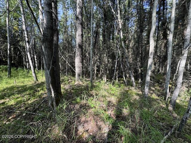 L3 B1 Funny River Road Property Photo 13