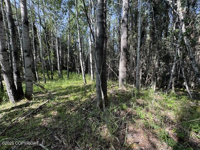L3 B1 Funny River Road Property Photo 15