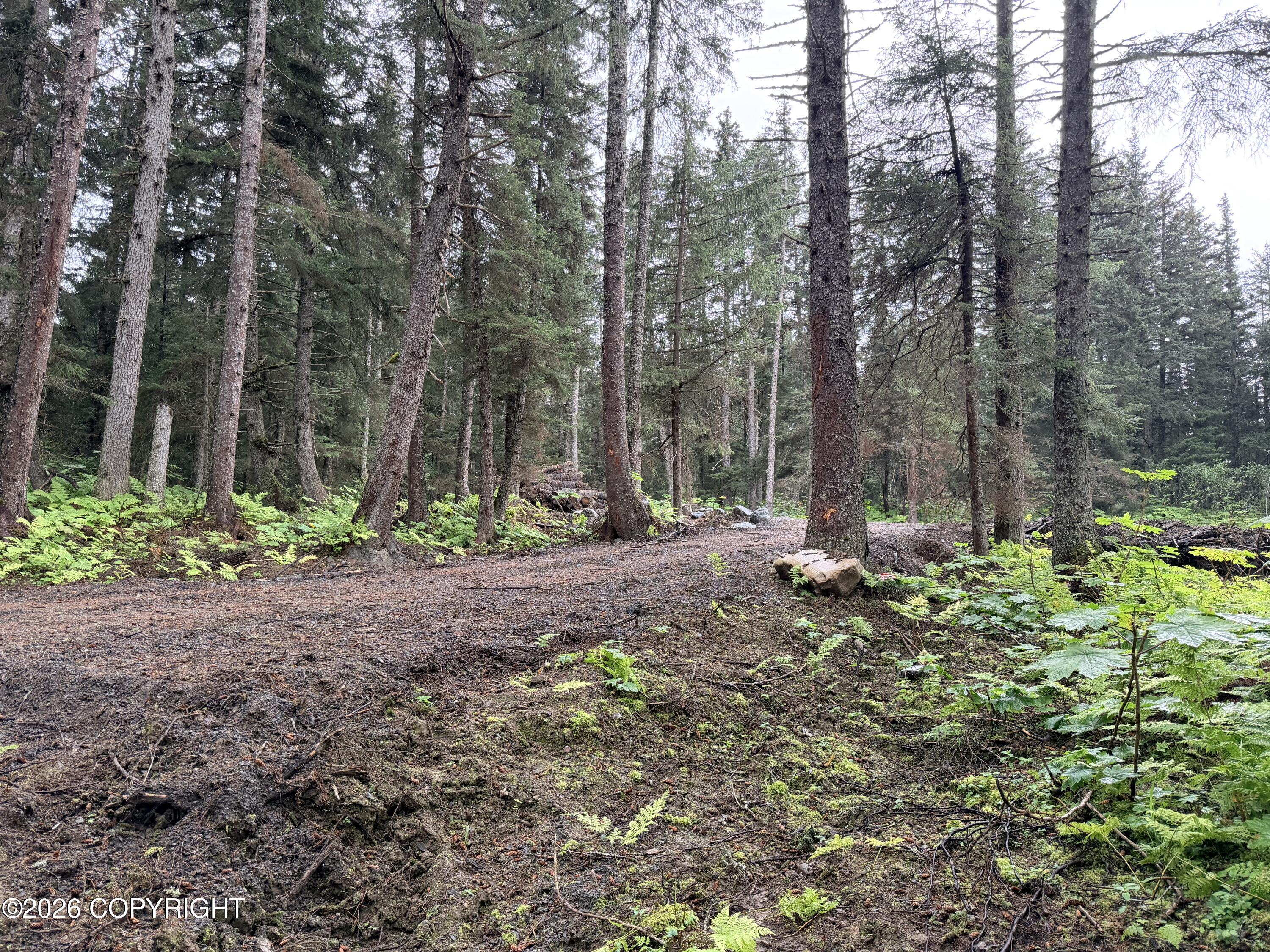 L29 B7 Kashevarof Road Property Photo 11