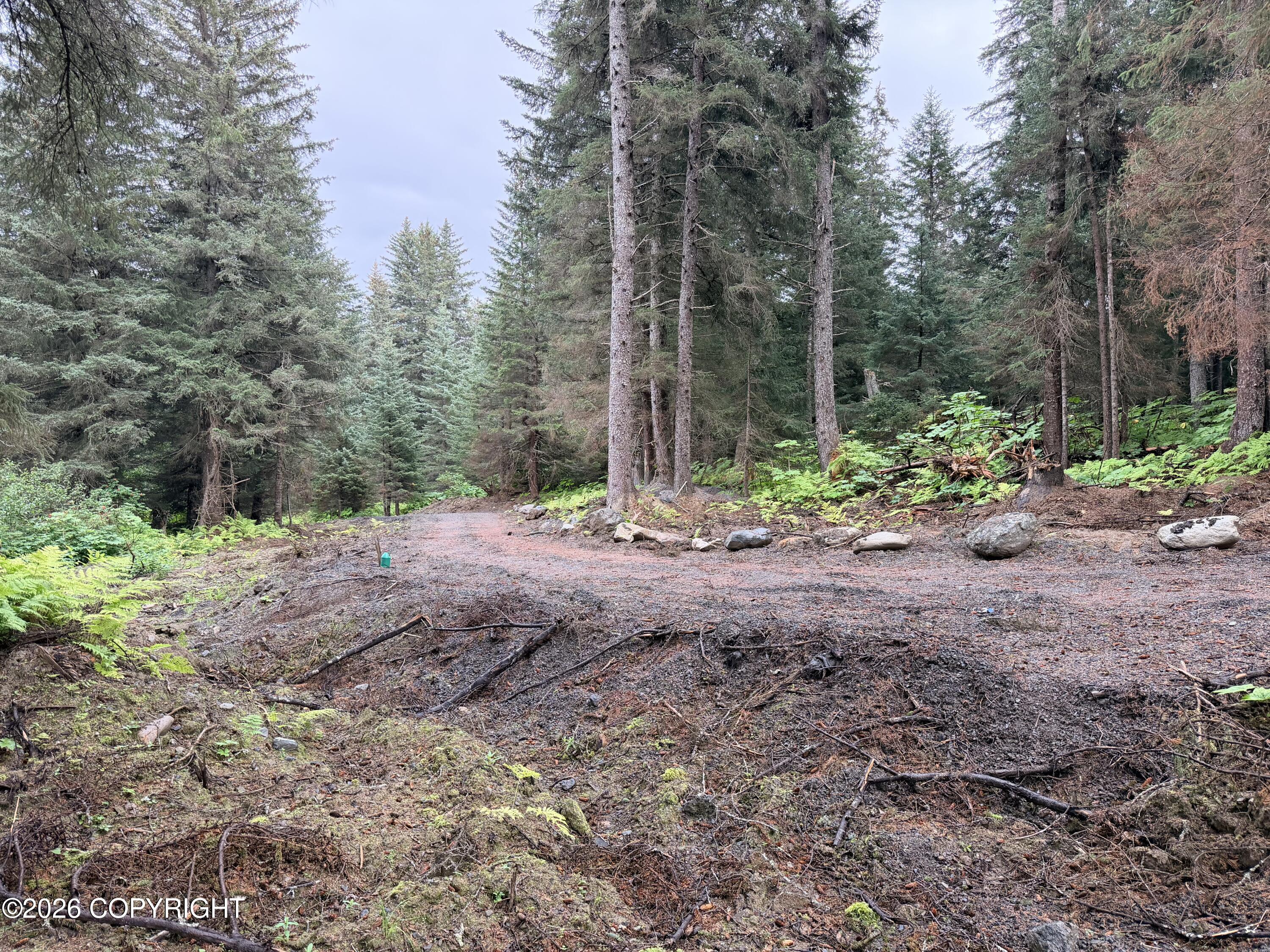 L29 B7 Kashevarof Road Property Photo 13