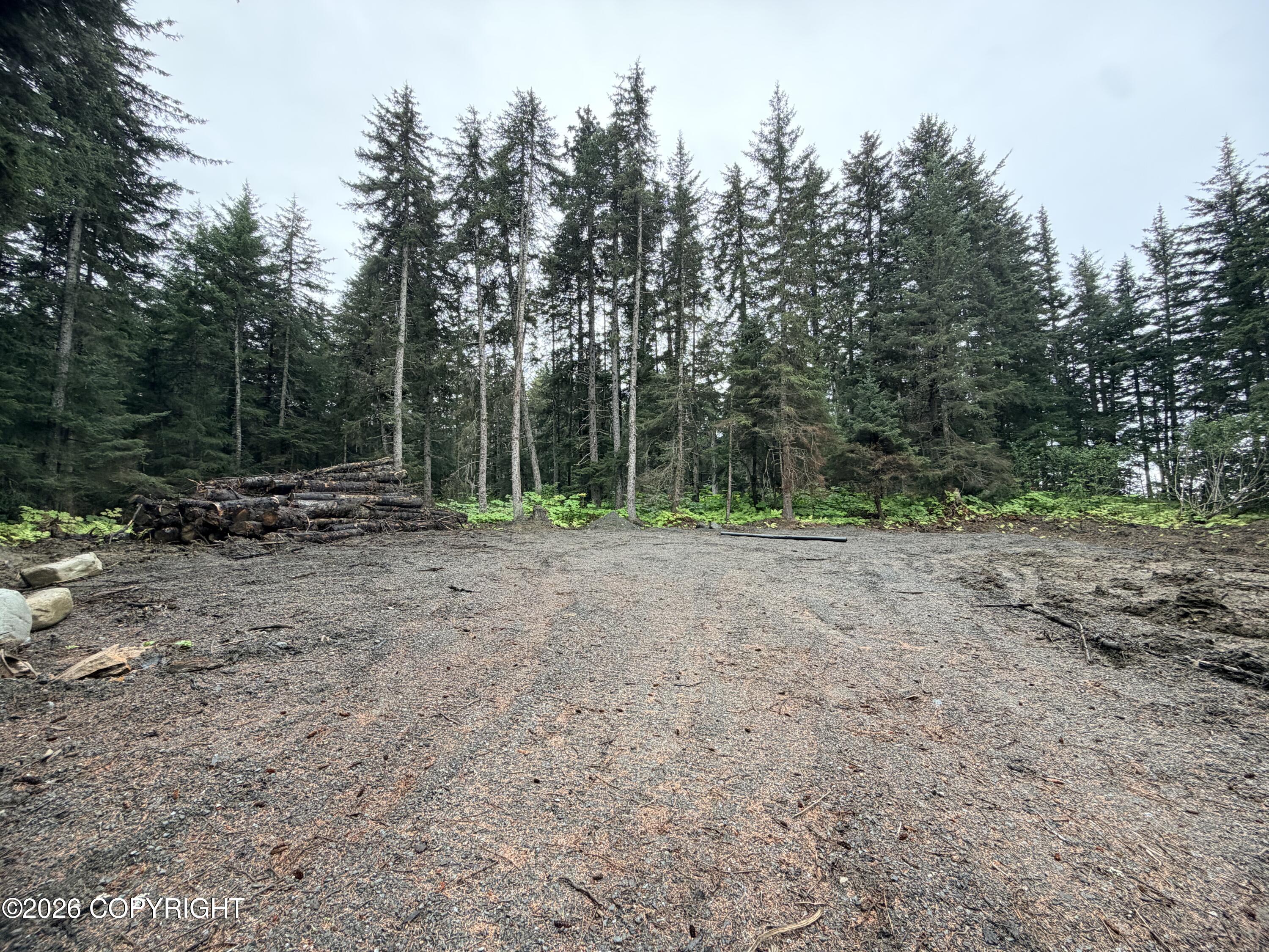 L29 B7 Kashevarof Road Property Photo 19