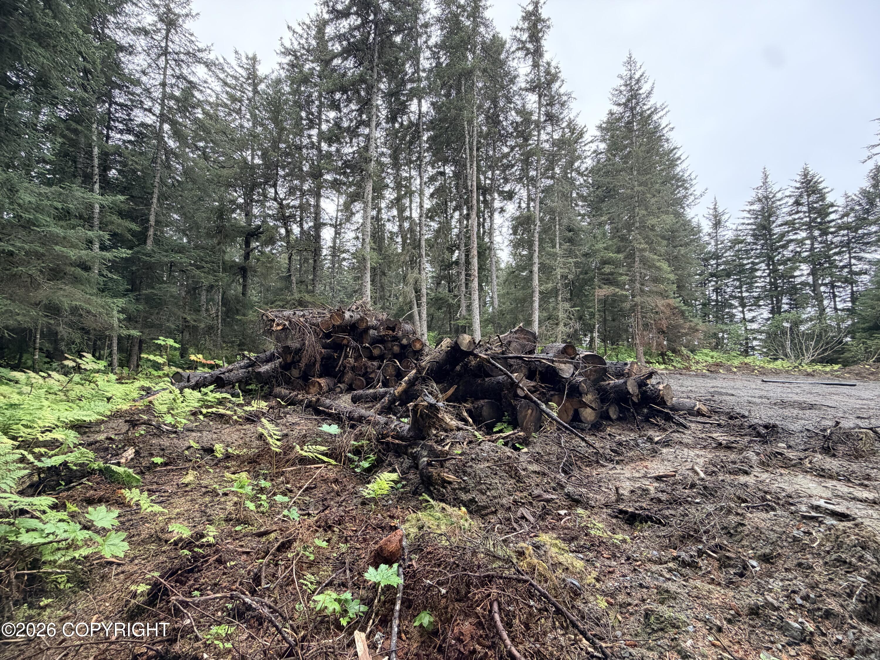 L29 B7 Kashevarof Road Property Photo 20