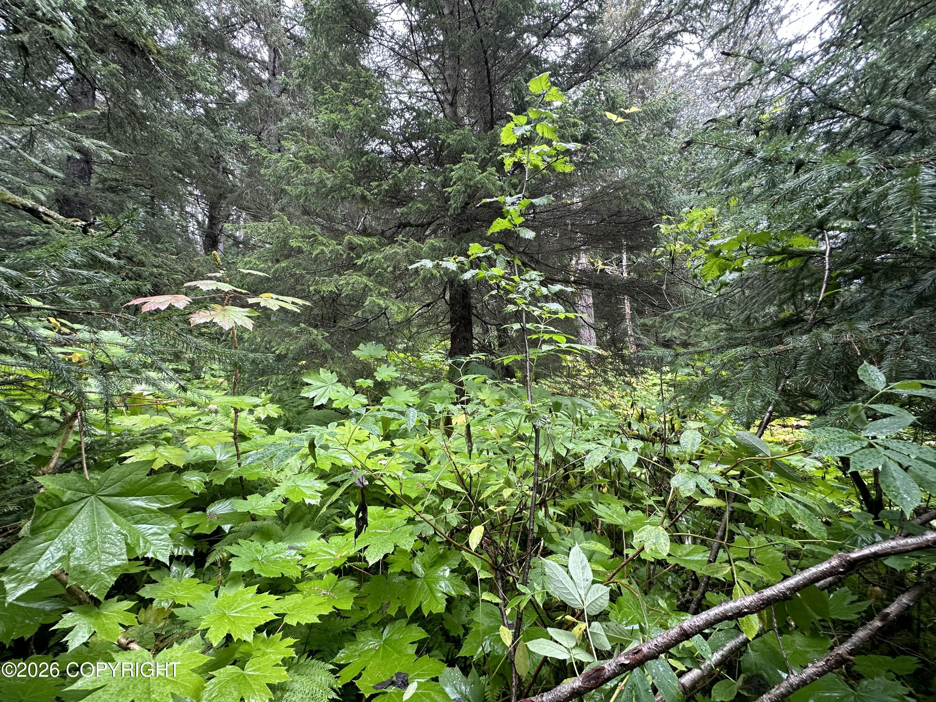 L29 B7 Kashevarof Road Property Photo 25