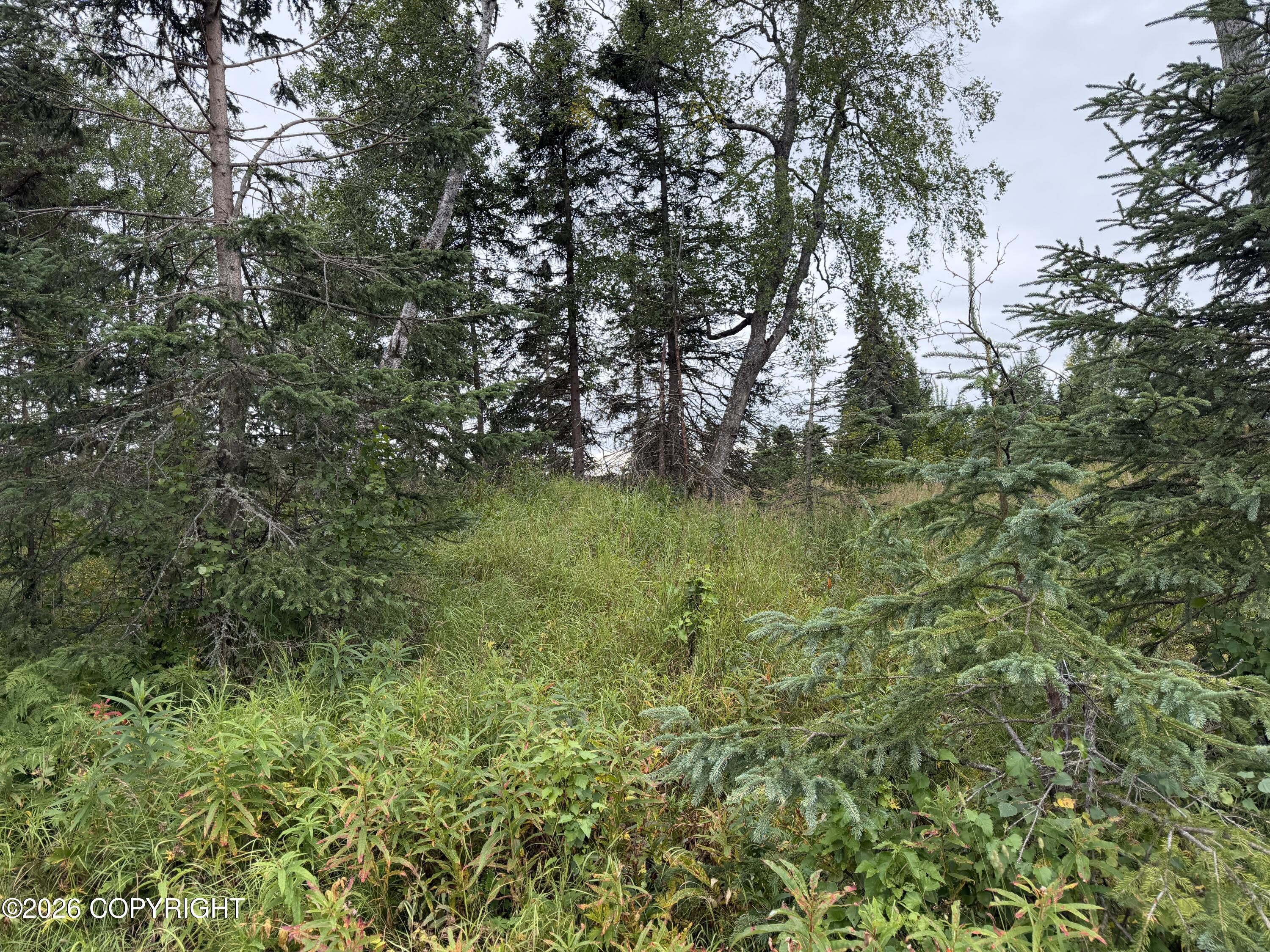 1872 Beaver Loop Road Property Photo 7