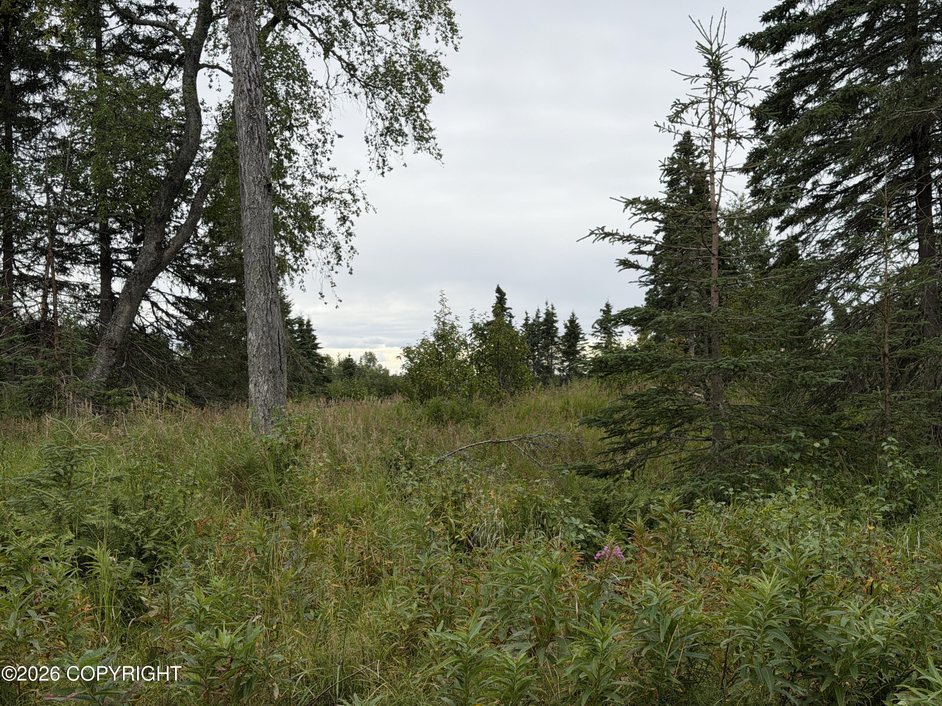 1872 Beaver Loop Road Property Photo 8