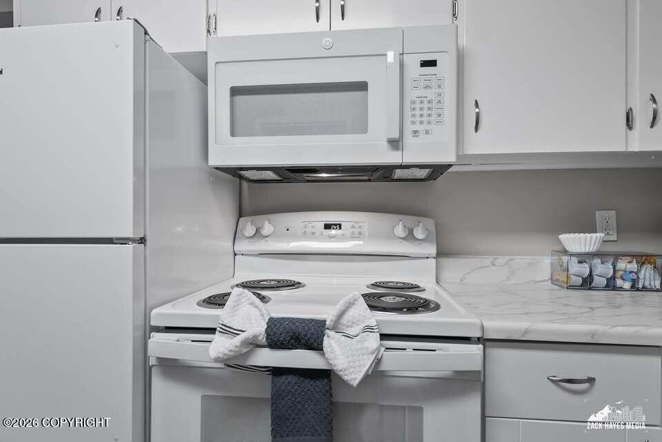 1030 W 26th Avenue #3 Property Photo 11
