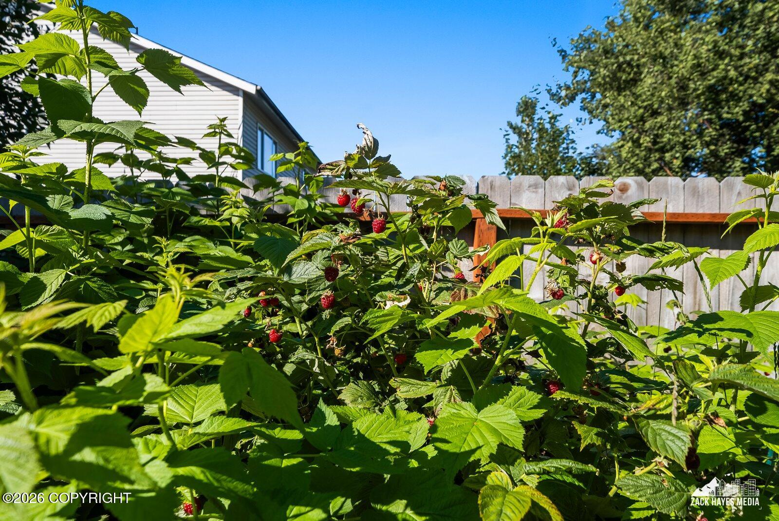 5811 E 6th Avenue #b Property Photo 38