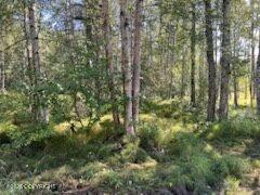 9865 S Twilight Drive Property Photo 6