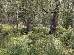 9865 S Twilight Drive Property Photo 8