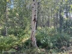 9865 S Twilight Drive Property Photo 10