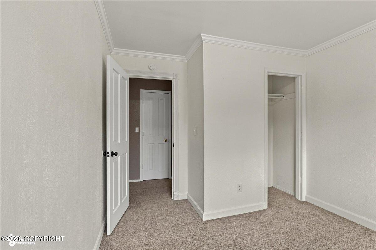 17405 Kantishna Drive Property Photo 28