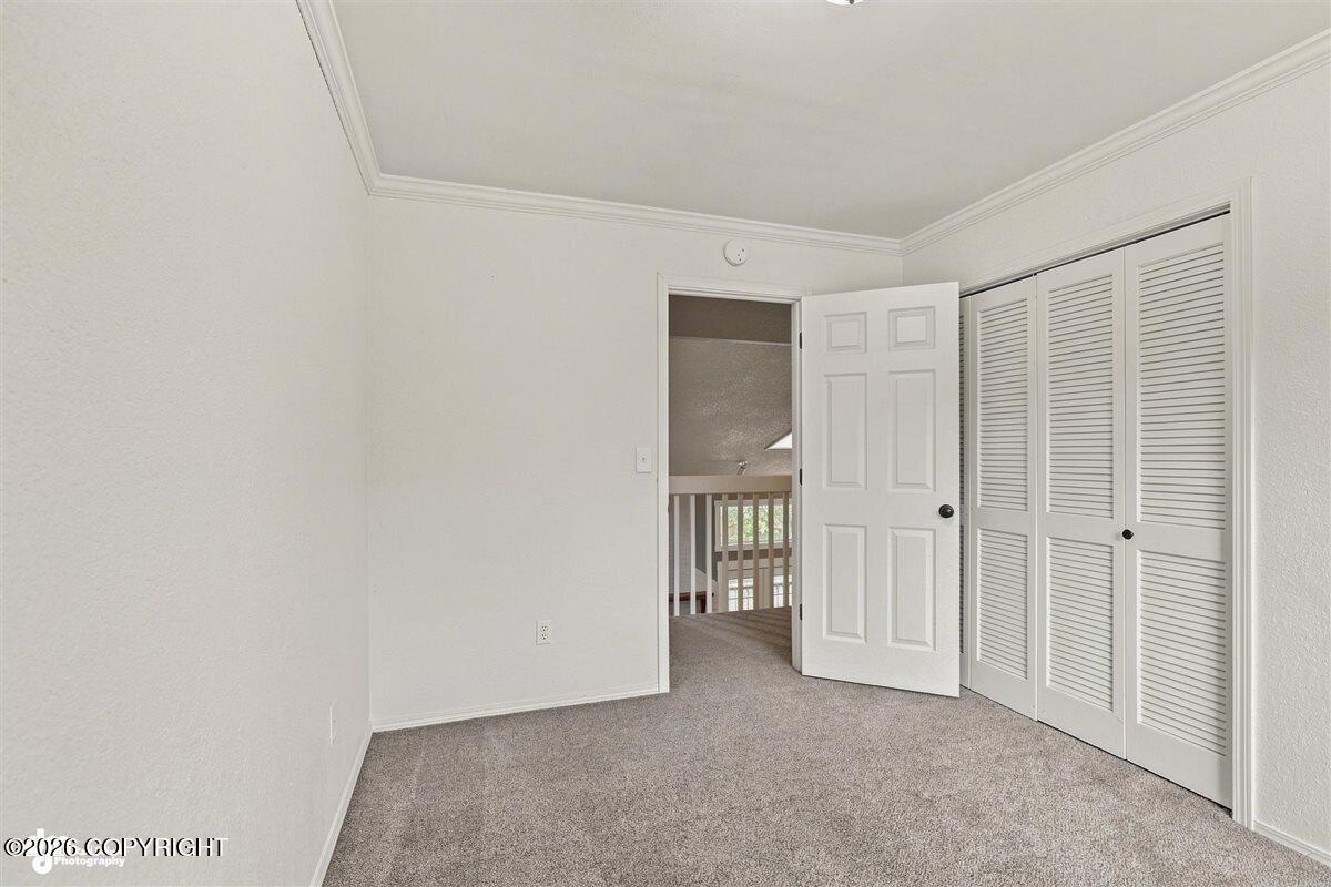 17405 Kantishna Drive Property Photo 33
