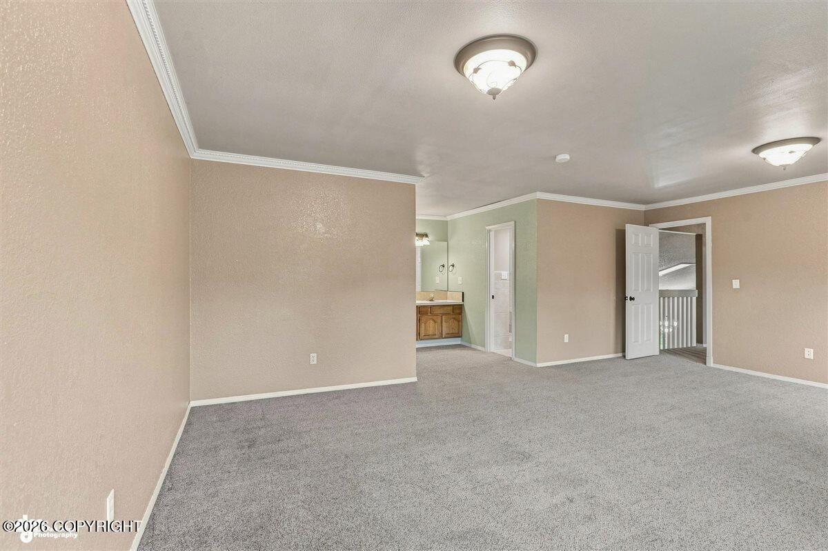 17405 Kantishna Drive Property Photo 37