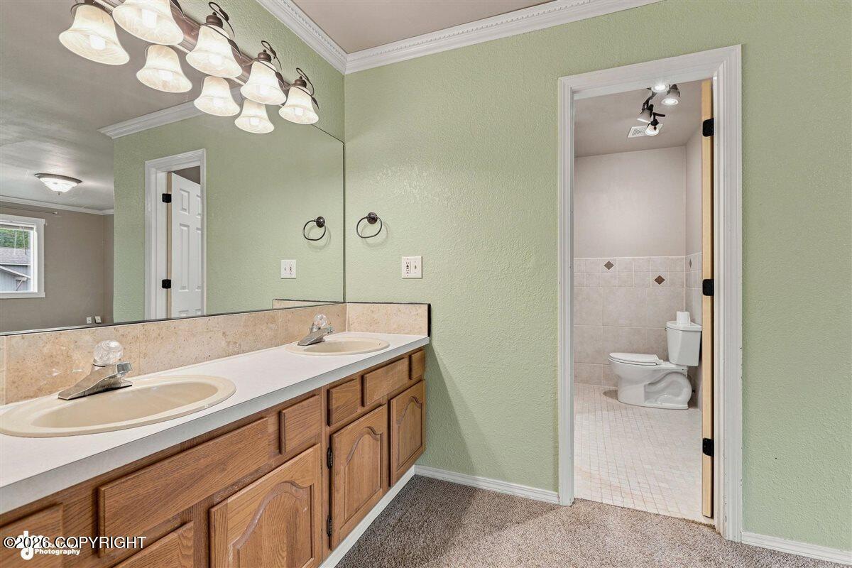 17405 Kantishna Drive Property Photo 40