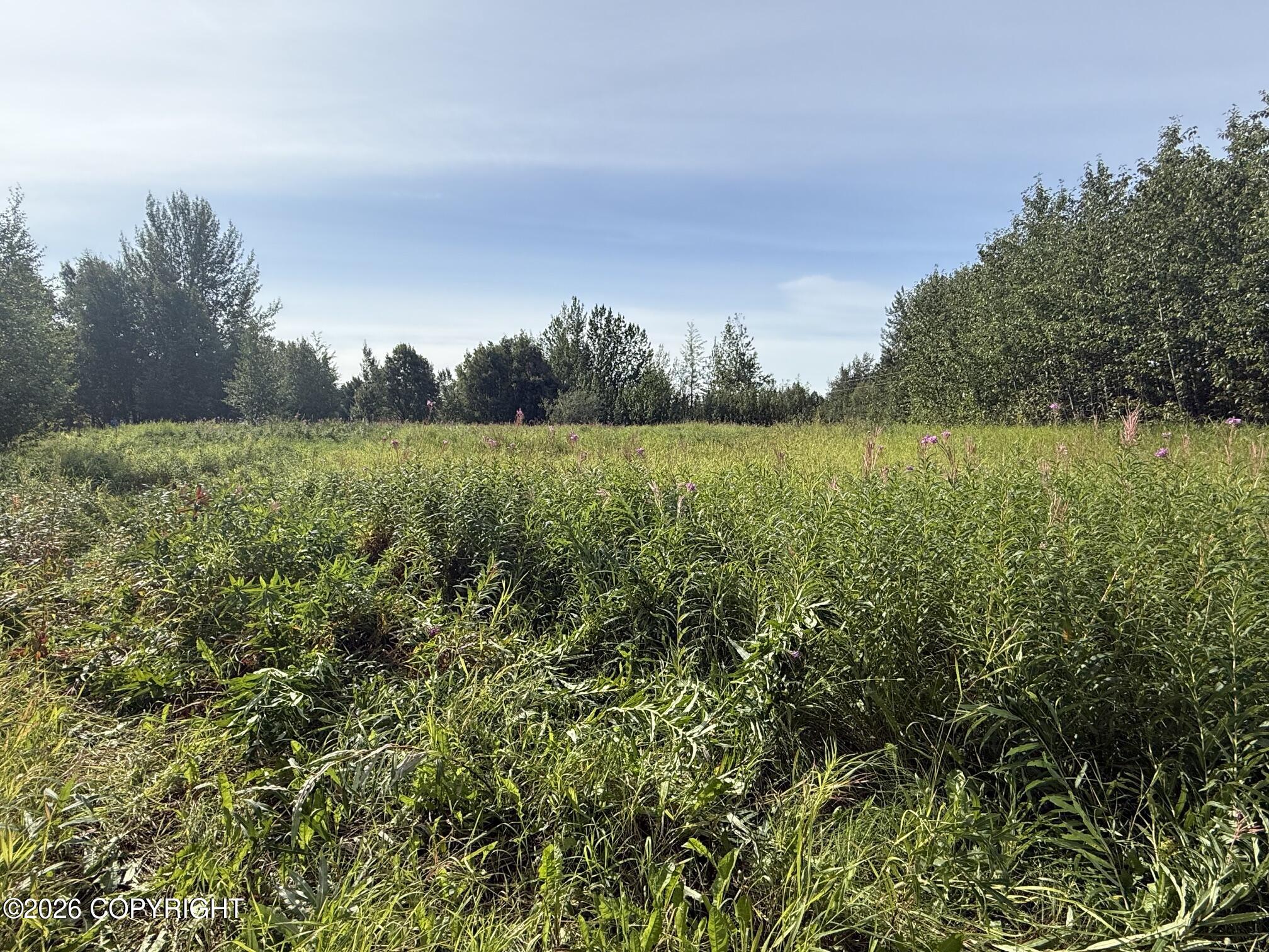 2937 S Mccombs Road Property Photo 9