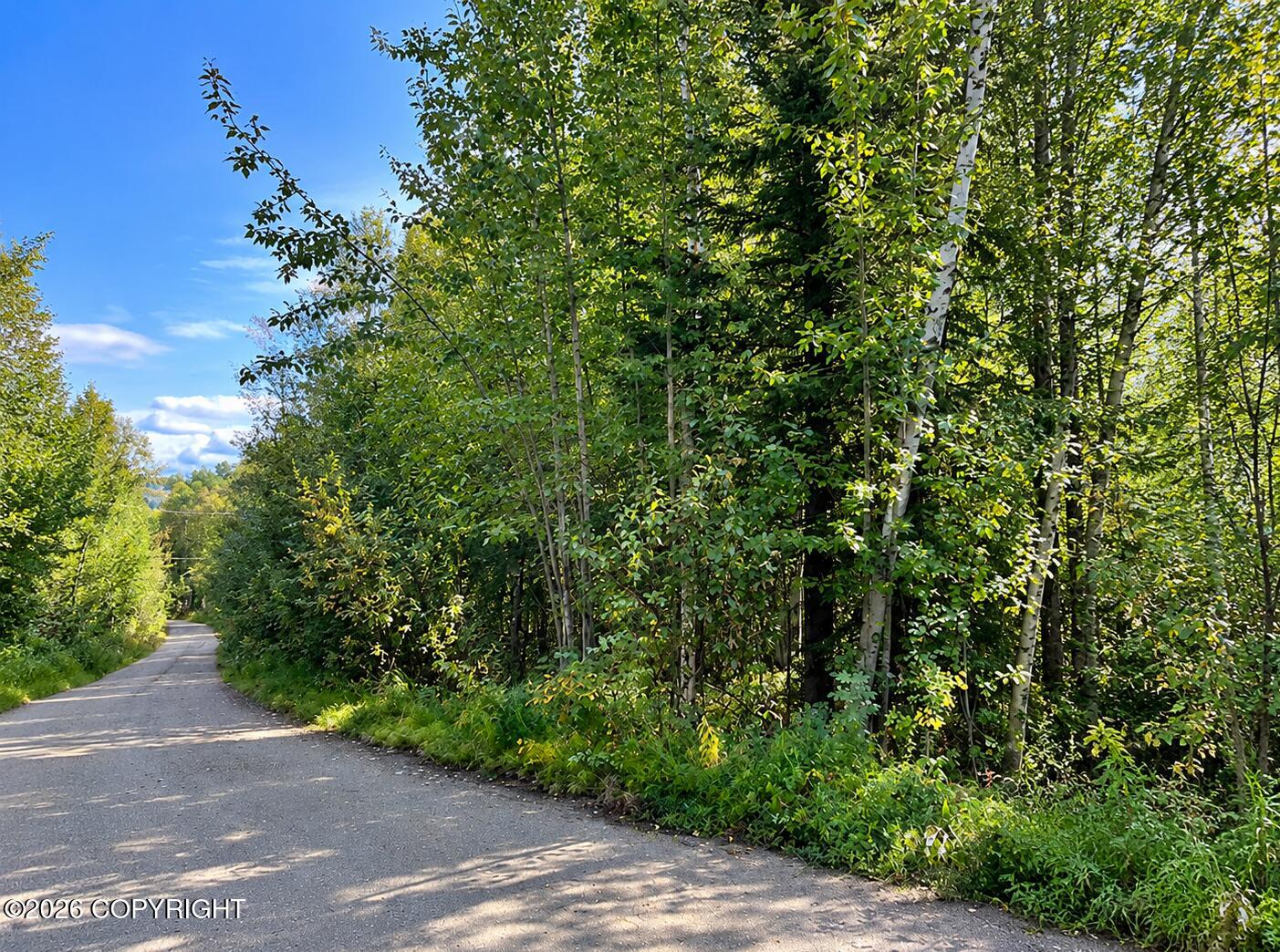 Lot 4 Bennett Road Property Photo 2