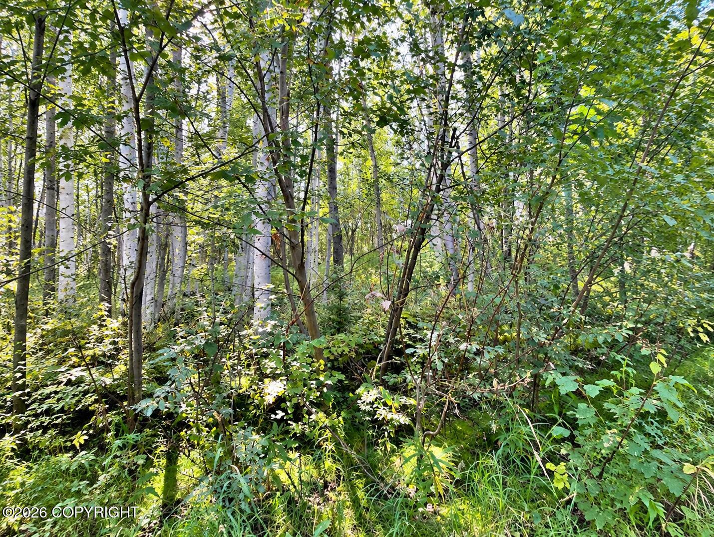 Lot 4 Bennett Road Property Photo 3