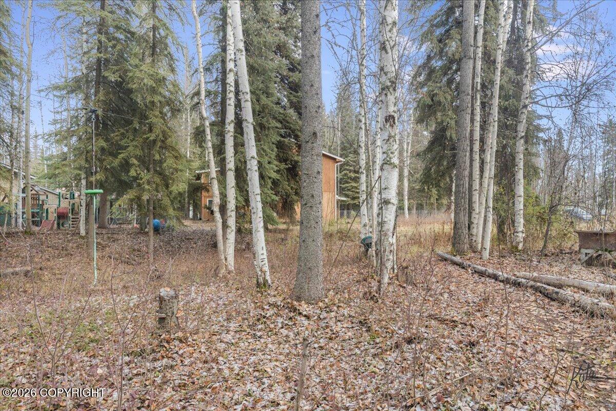 2630 Scotch Pine Drive Property Photo 29