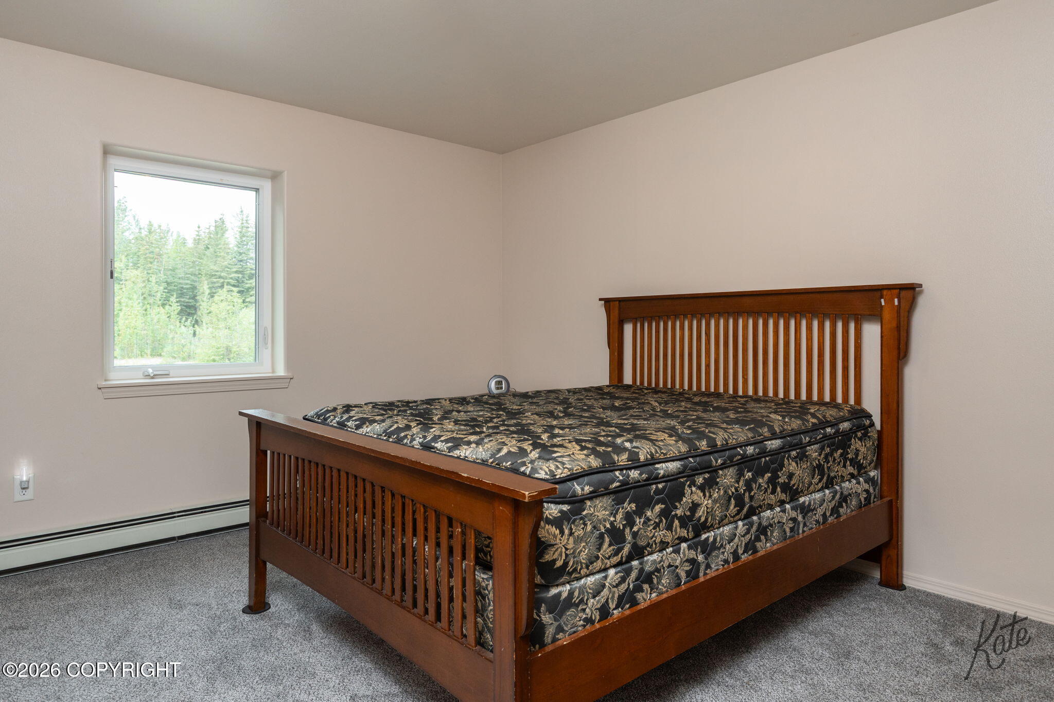 2462 Baby Bell Drive Property Photo 12