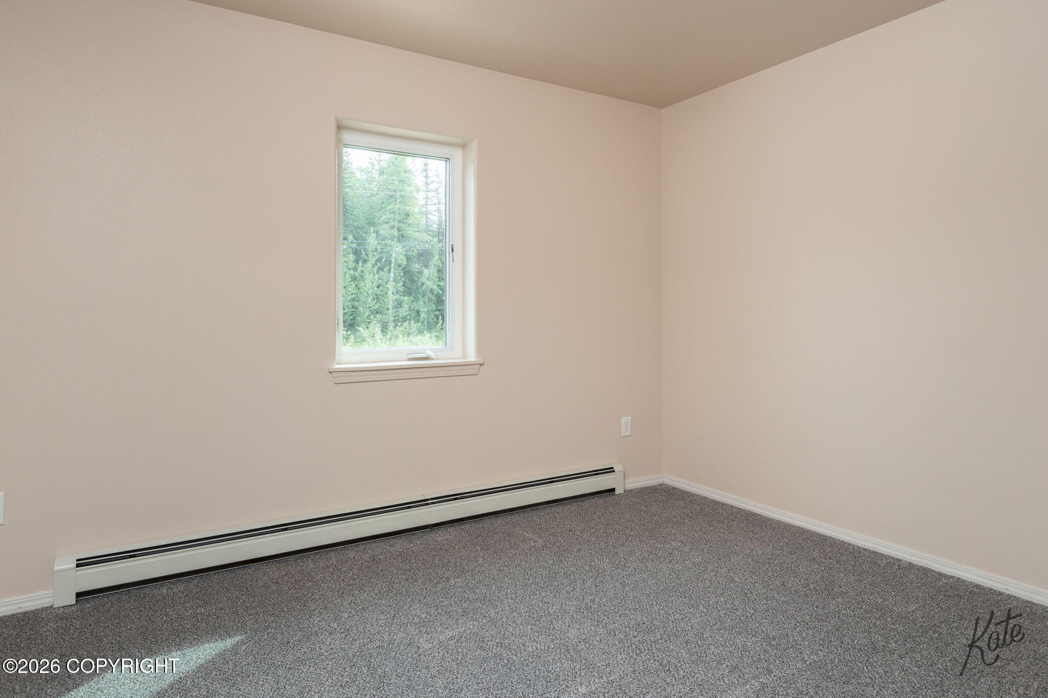2462 Baby Bell Drive Property Photo 19