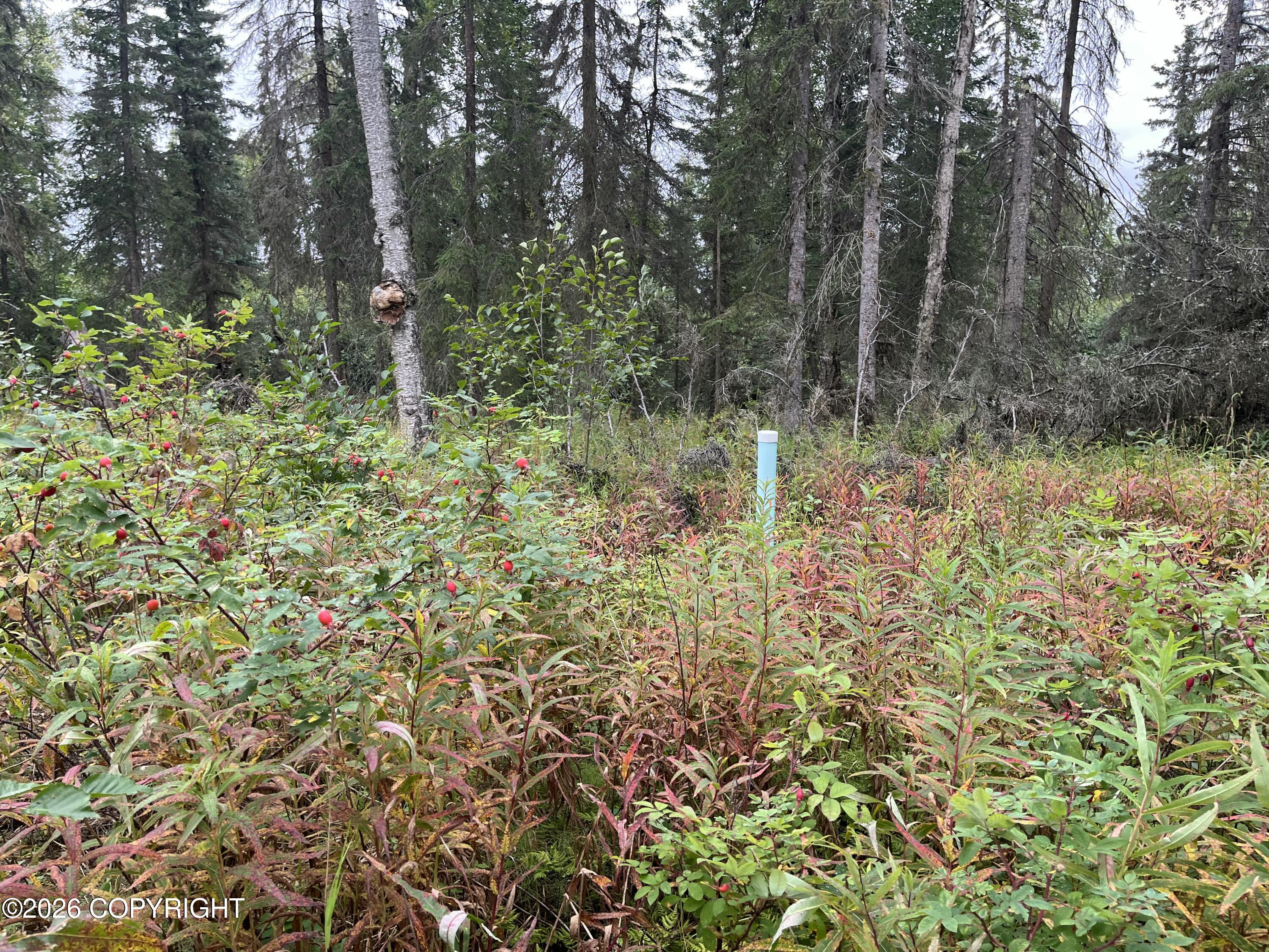 40137 Moose Range Drive Property Photo 29