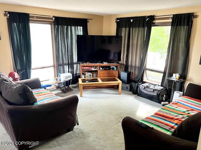 3804 Lois Drive Property Photo 31